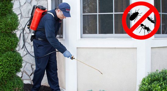 Akseki Fare İlaçlama böcek ilaçlama ve haşere kontrolü — ilaclama-tr.com